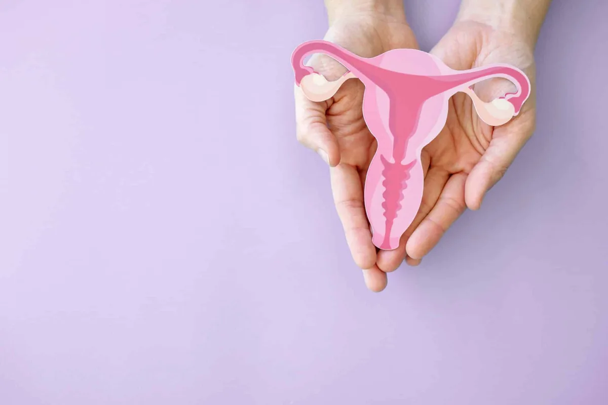 40代からの子宮は「細菌不足」？老化で減る善玉菌、腹腔鏡で発見された驚きの仕組み