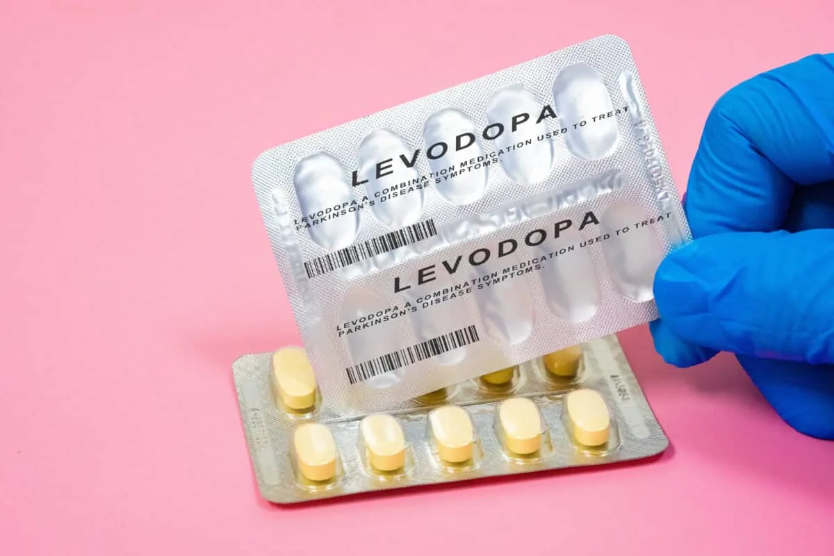 ハチ毒がパーキンソン病薬の効果を高める？マウス実験で驚きの結果