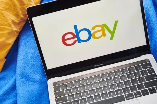 ゴキブリや血だらけの豚マスク送りつけた元社員…eBayがカップルに約57億円支払い