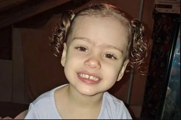 2歳女児、隣人の放し飼い犬に森へ引きずられ死亡…3人を逮捕