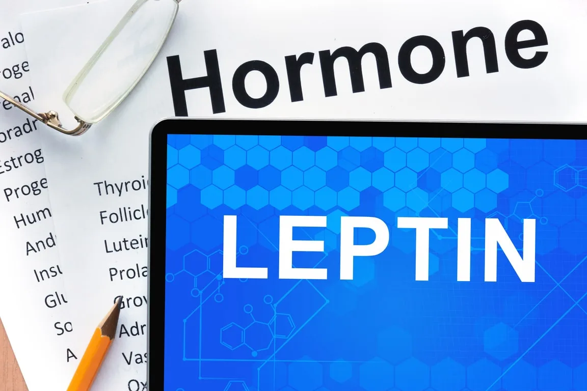 「時差ボケ、1日で治るかも」ホルモン注射でサルがスッキリ