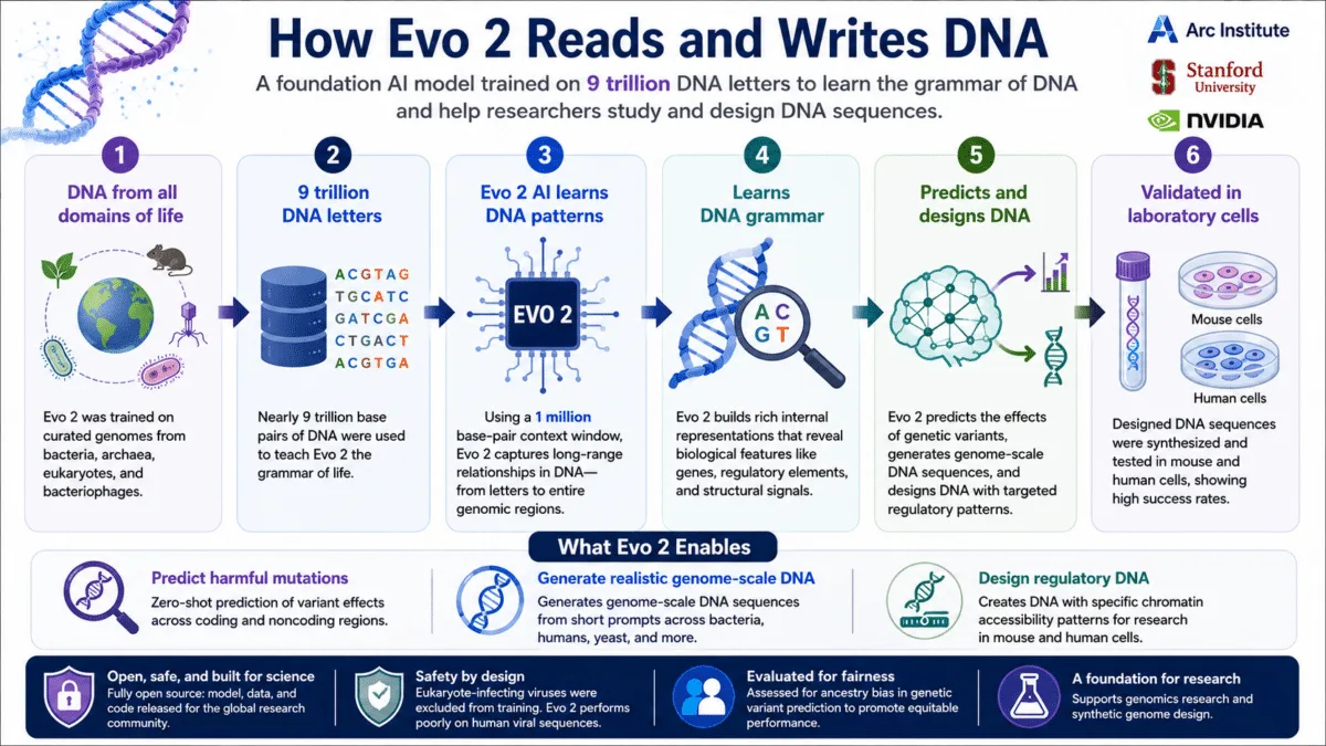 DNAの文法を独学で習得したAI「Evo 2」、9兆塩基対を学習し遺伝子変異をゼロショットで判定