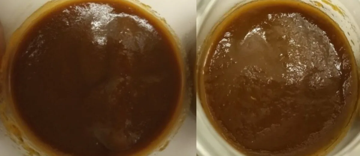 ケチャップに藻タンパク入れたら…栄養4倍＆味もほぼ変わらず、研究結果